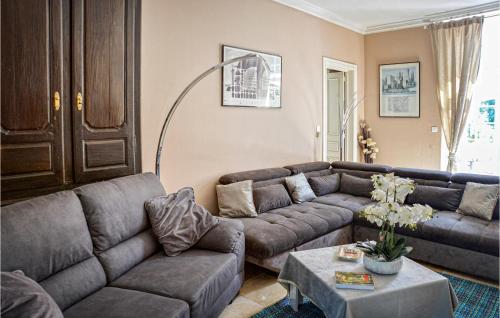 Awesome Home In Orthez With Outdoor Swimming Pool, Private Swimming Pool And 7 Bedrooms