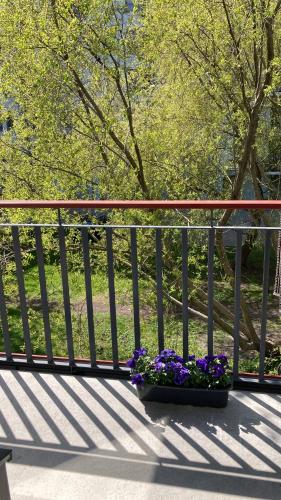 a pot of purple flowers sitting on a fence at Apartment Upeņu in Rīga