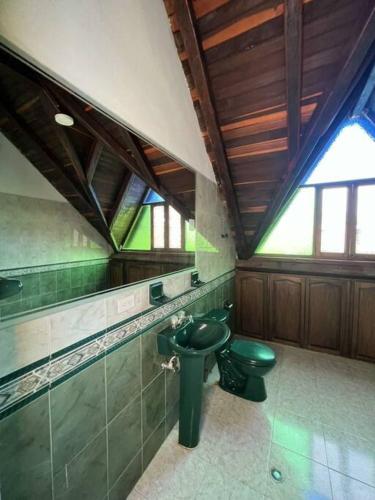 een badkamer met een groen toilet en een wastafel bij Casa en envigado ubicación perfecta para disfrutar de la naturaleza y la ciudad in Envigado