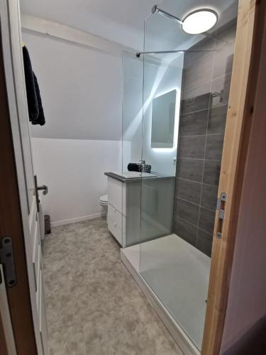 a bathroom with a glass shower with a sink at Les appartements du centre, refaits à neuf, climatisés, hyper centre, 50m à pieds des commerces, restaurants, parking gratuit in Salies-de-Béarn