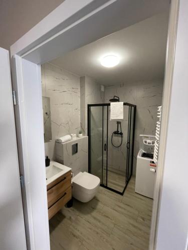 La salle de bains est pourvue d'une douche, de toilettes et d'un lavabo. dans l'établissement Natura Park, à Jastrzębia Góra