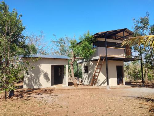 a house with a ladder in front of it at Finca Joco Mico in Diriamba