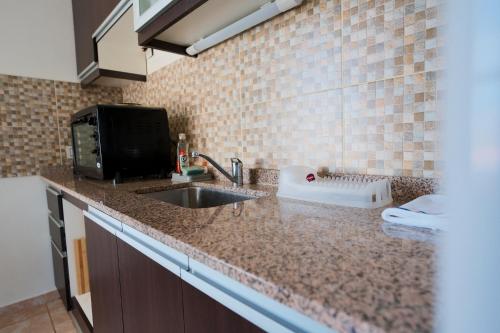 波薩達斯的住宿－Regia Apartamentos Posadas，厨房柜台设有水槽和微波炉