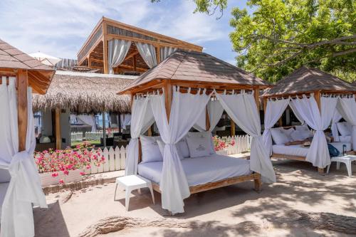 a couple of hammocks on a beach at Bora Bora Beach Club & Hotel in Isla Grande