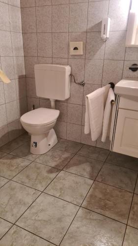 a bathroom with a toilet and a sink at Pension Stadt Grein in Grein