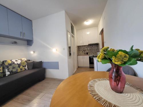 Mali apartman u centru