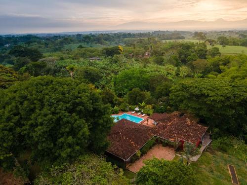 an overhead view of a house in the trees at MuchoSur Quimbaya in Quimbaya