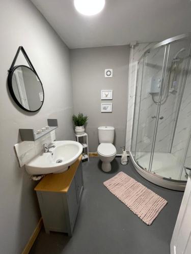 een badkamer met een wastafel, een douche en een toilet bij The Dairy in Castle Douglas