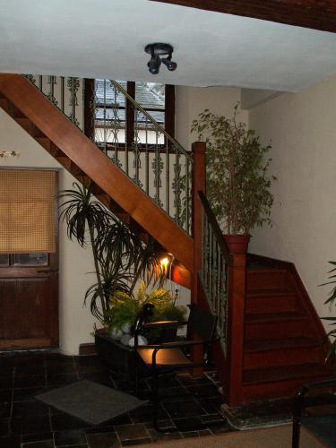 a living room with a staircase with potted plants at Le Petit Chapitre : Maison de charme in Fosses-La-Ville