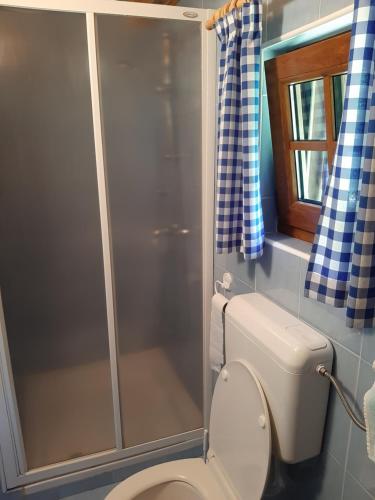 a bathroom with a toilet with a glass shower at Cottage Lepena in Soča