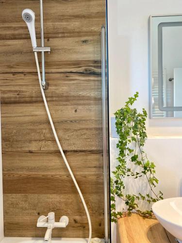 a shower with a hose attached to a wooden door at Residence Odaile #9 in Otopeni