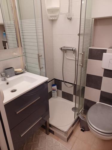 een badkamer met een douche en een toilet bij le chamois d or in Allos