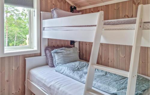 a bunk bed in a tiny house with a window at Amazing Home In Frvik With Wifi in Færvik