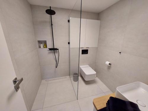 a bathroom with a shower with a toilet and a sink at Crystal Studio in Kutná Hora