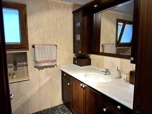 uma casa de banho com um lavatório e um espelho em Ultra Lüx Tarihi Villa em Yenice