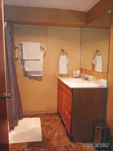een badkamer met een wastafel en een spiegel bij Whitebird Summit BNB in Whipsaw Saddle