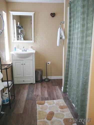 a bathroom with a sink and a shower curtain at Whitebird Summit BNB in Whipsaw Saddle