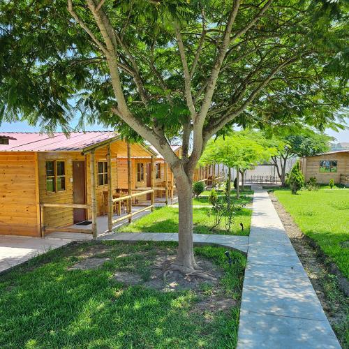 a tree in front of a wooden house at Apart Hotel El Paraíso de Barranca in Barranca