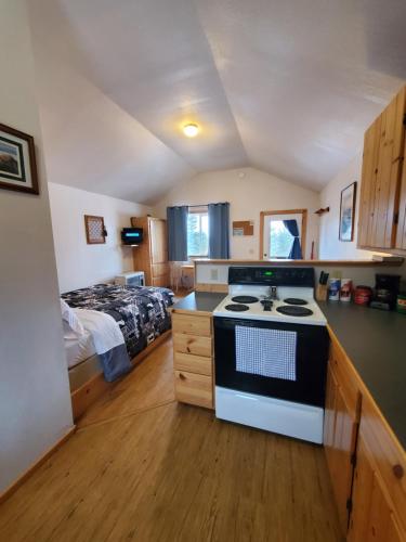 Kuchyň nebo kuchyňský kout v ubytování Denali's Alaskan Spruce Cabins