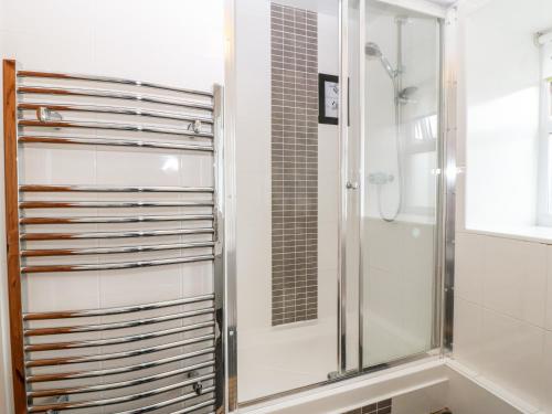 スランザイニオレンにあるHafodのバスルーム(ガラスドア付きのシャワー付)