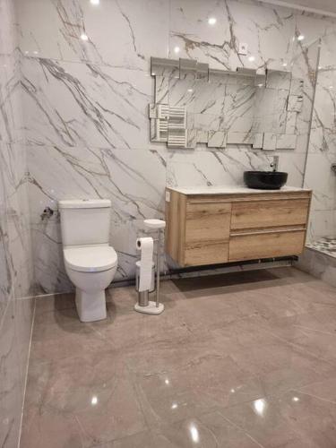 une salle de bain avec toilettes et un mur en marbre dans l'établissement Love Room jacuzzi, à Bazoques