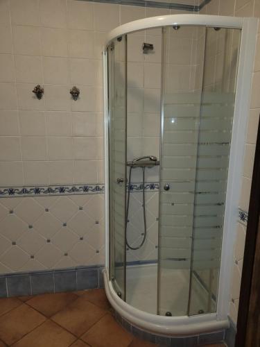 een douche met een glazen deur in de badkamer bij Habitaciones La Flamenka in Ronda