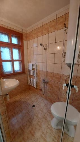 e bagno con doccia, servizi igienici e lavandino. di Vitosha Guest House a Devin