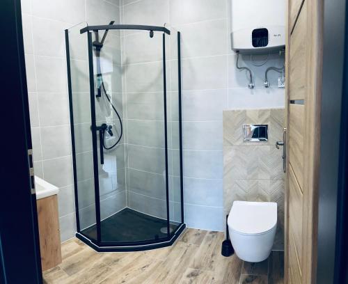 a shower stall in a bathroom with a toilet at Apartament Na Szlaku 