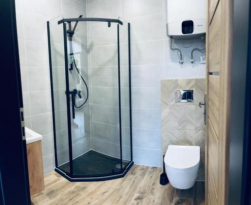 a shower stall in a bathroom with a toilet at Apartament Na Szlaku in Sowa