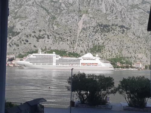 a cruise ship in the water near a mountain at Apartman Pontica in Kotor