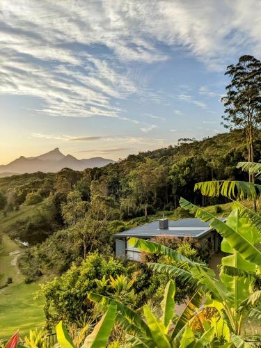 an aerial view of a house in the jungle at La Rochér Eco Retreat in Stokers Siding