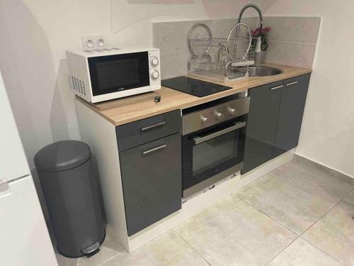 une petite cuisine avec un micro-ondes et un évier dans l'établissement Toulon: Superbe appartement atypique 2 chambres, à Toulon
