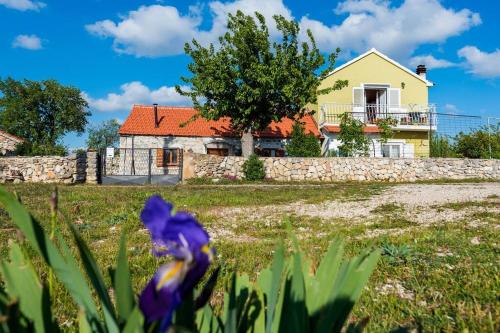 a house with a purple flower in a field at Peaceful house in nature nearby National Park Krka in Brištane