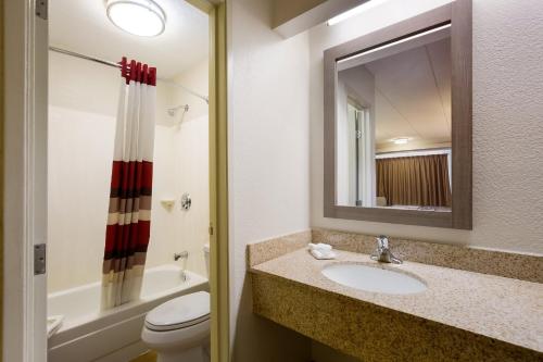 a bathroom with a sink and a toilet and a mirror at Red Roof Inn Wilkes-Barre Arena in Wilkes-Barre