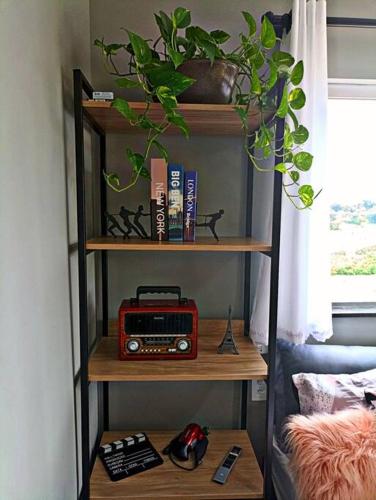a book shelf with a radio and a plant at Tiny House Paraiso Minicasas Com Hidromassagem in Pouso Alegre
