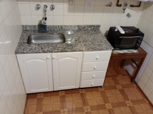 encimera de cocina con fregadero y microondas en Departamento Lorenzo I en Mendoza