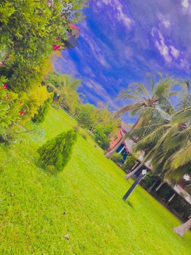 a green lawn with palm trees and a blue sky at Serenity Lake Resort Yala in Tissamaharama