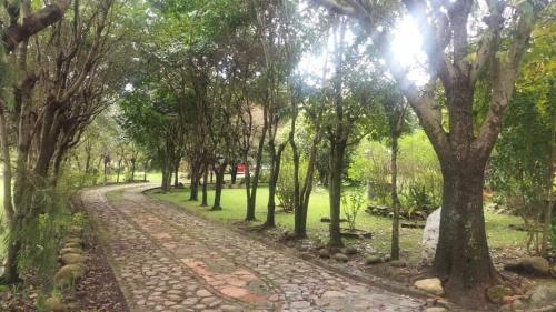 a cobblestone path in a park with trees at Encanto - Habitación con baño privado in Villa de Leyva