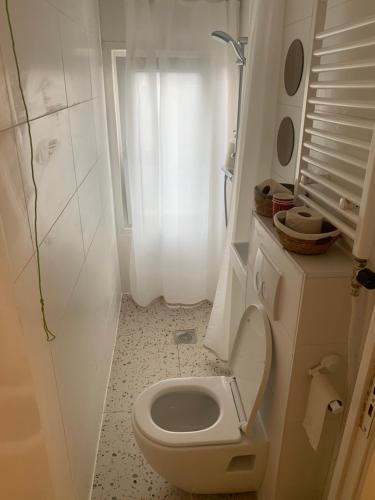 a white bathroom with a toilet and a shower at Tiny Houseboat B&B on the Amstel River in Amsterdam