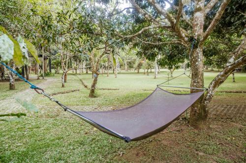 a hammock hanging from a tree in a park at Pintoresco in Anuling