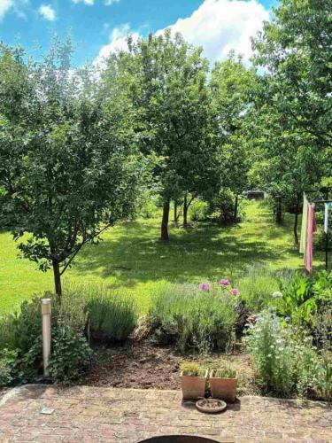 Apartment Mimi - countryside cottage – Photos 3