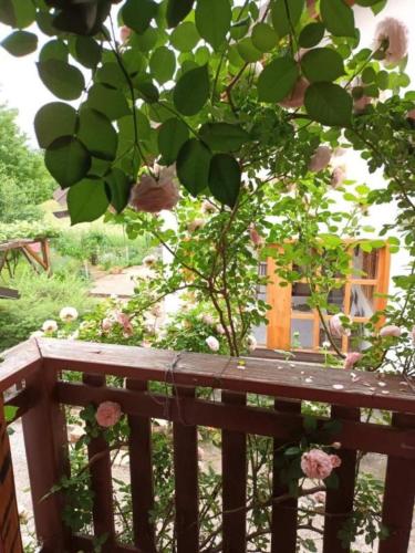 Apartment Mimi - countryside cottage – Photos 2