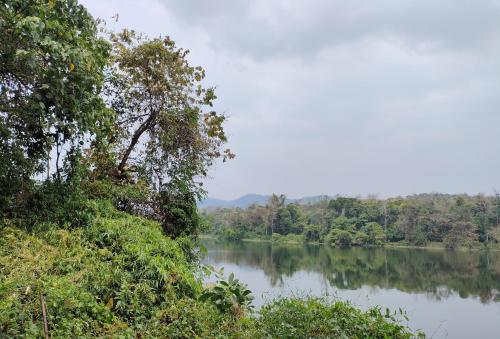a view of a river with trees on the side at The Nest Thattekad in Thattakād