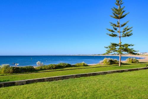 a park with a tree and the ocean in the background at Ocean View Villa, 2 bedroom in Mandurah