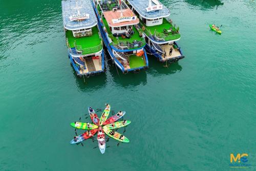 uma vista superior de uma roda gigante e de barcos na água em Homestay Thanh Long em Ilha de Cát Bà