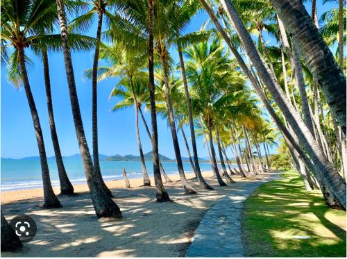 a row of palm trees on a sandy beach at Lahania by the Sea - JJ Place in Clifton Beach
