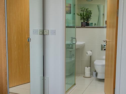 baño con aseo y puerta de cristal en Headland View, en Newquay