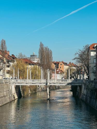 a bridge over a river in a city at Pirc apartment on Dunajska street in Ljubljana