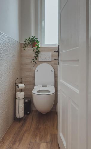 a white toilet in a bathroom with a window at Pirc apartment on Dunajska street in Ljubljana