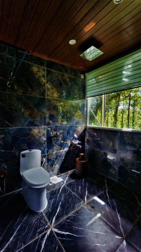a bathroom with a toilet in a room with rocks at Coorg Bliss Estate Stay in Madikeri